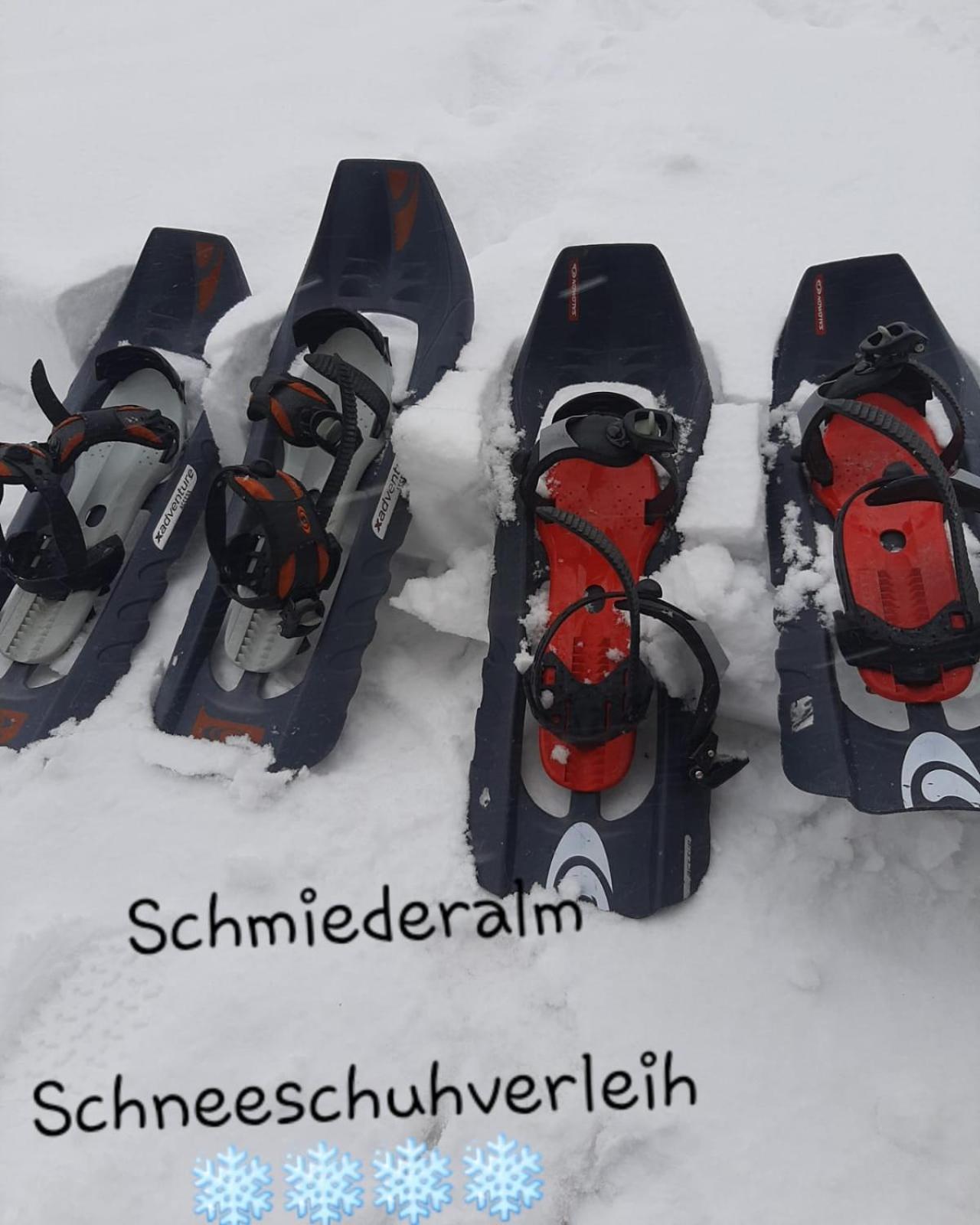Gasthof Schmiederalm アルディーノ エクステリア 写真