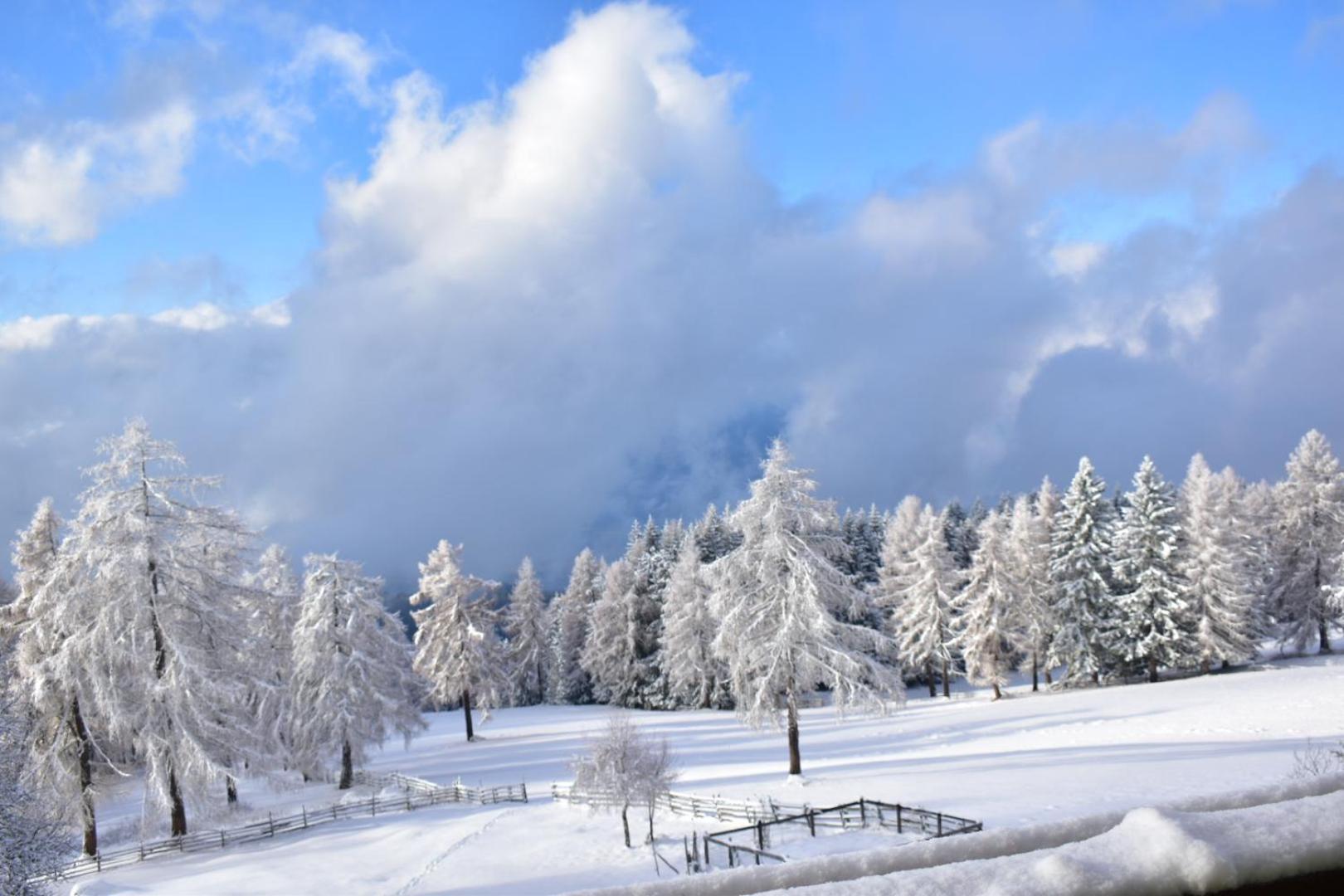 Gasthof Schmiederalm アルディーノ エクステリア 写真