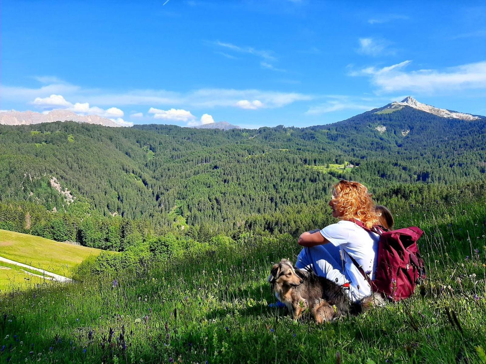 Gasthof Schmiederalm アルディーノ エクステリア 写真